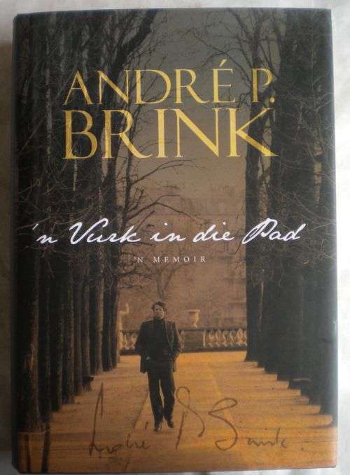 `n Vurk in die pad deur Andre P Brink