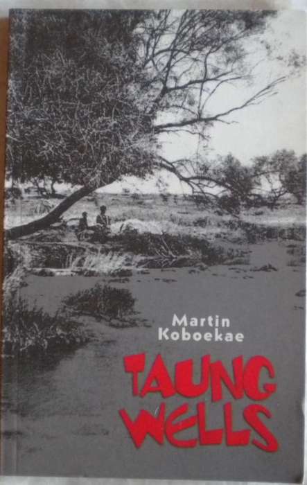 Taung wells by Martin Koboekae