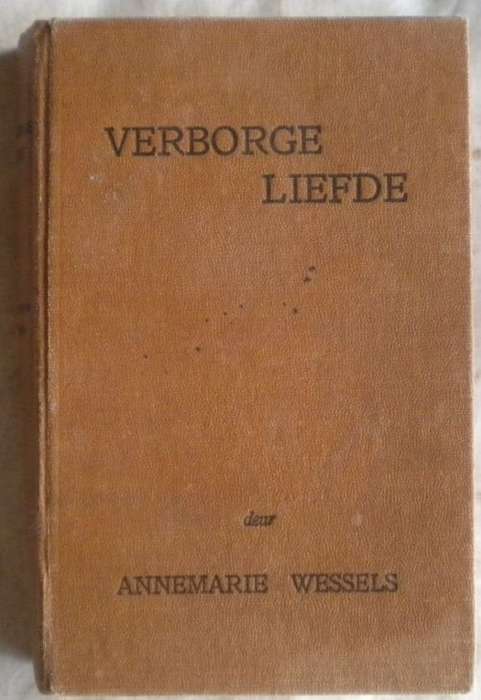 Verborge liefde deur Annemarie Wessels