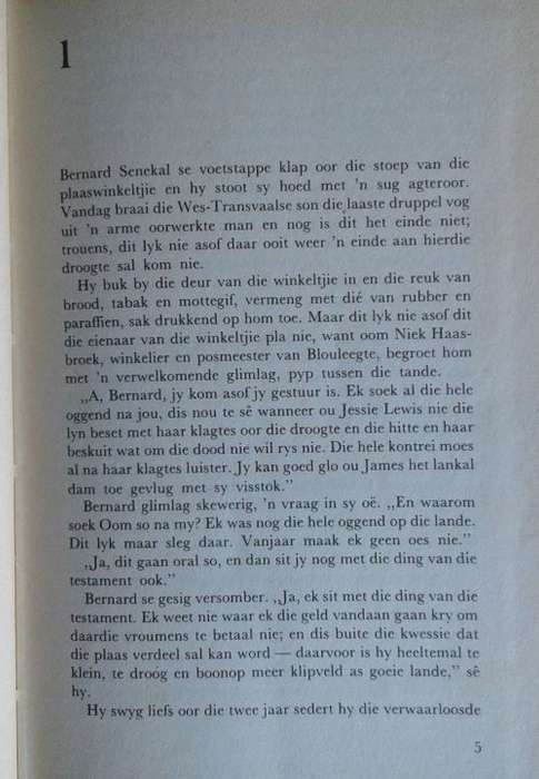 `n Plekkie in jou hart deur Lize Swart