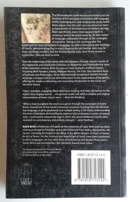 The novel by Andre Brink