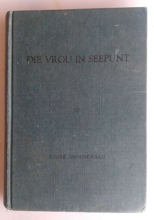 Die vrou in Seepunt deur Andre Groenewald