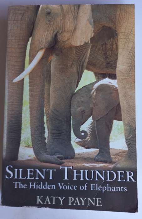 Silent thunder by Katy Payne