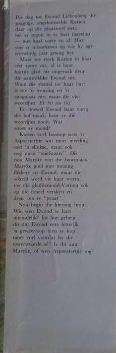 Se jy min my deur Lize Swart