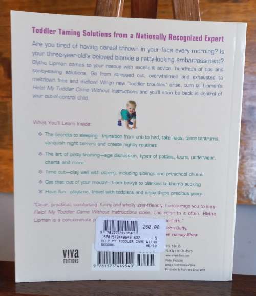 Help my toddler came without instructions by Blythe Lipman