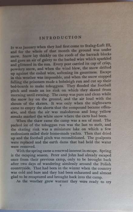 The wooden horse by Eric Williams