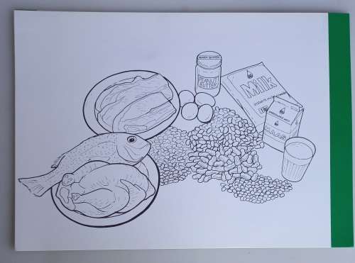 The SA sugar industry nutrition education teacher`s kit no 5 - 8 x Vintage school posters
