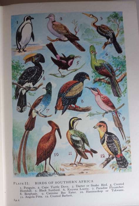 Encyclopaedia of Southern Africa