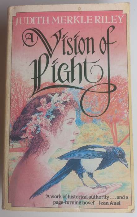 Vision of light by Judith Merkle Riley
