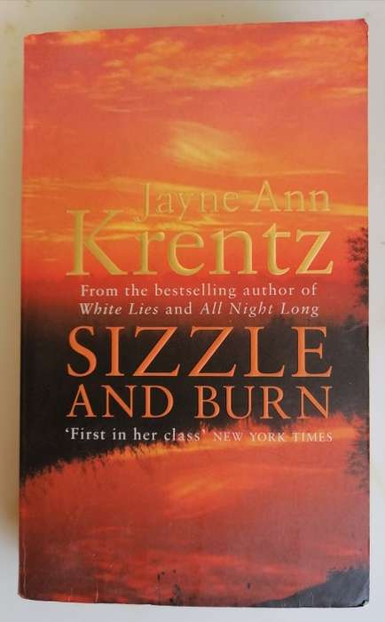Sizzle and burn by Jayne Ann Krentz