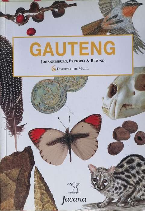 Gauteng, Johannesburg, Pretoria and beyond