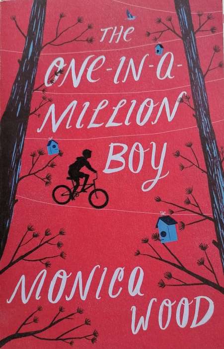 The one-in-a-million boy by Monica Wood