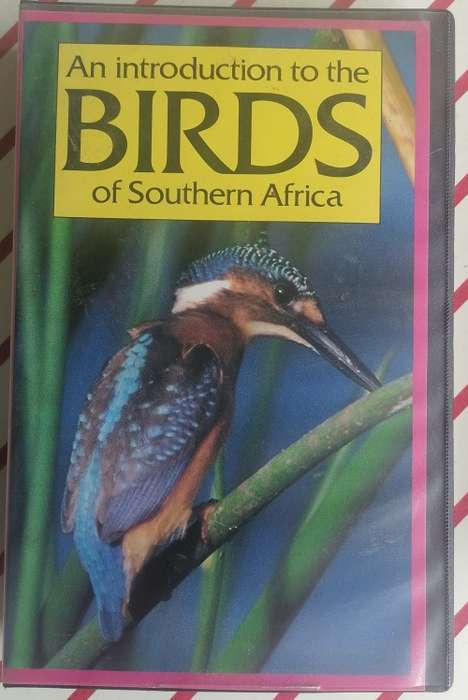 An introduction to the birds of Southern Africa VHS