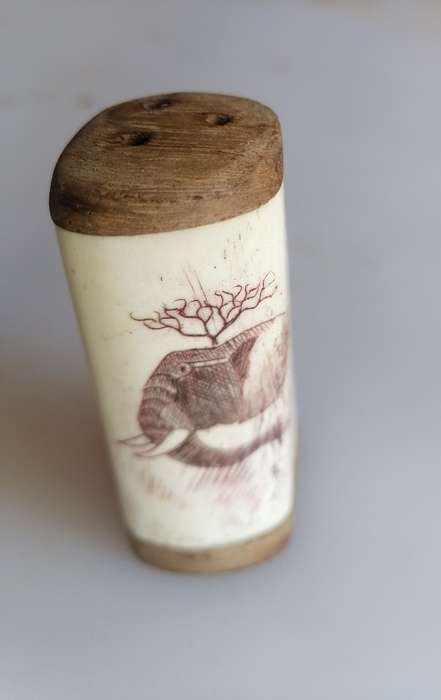 Wooden and bone salt and pepper shakers - Scrimshaw elephant design