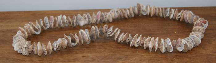 Shell Necklace