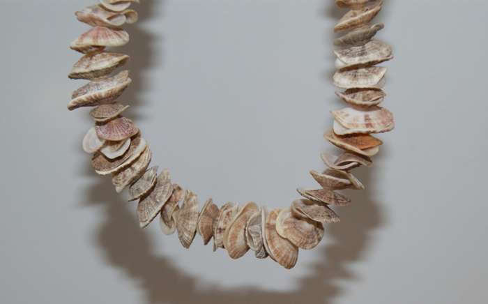 Shell Necklace