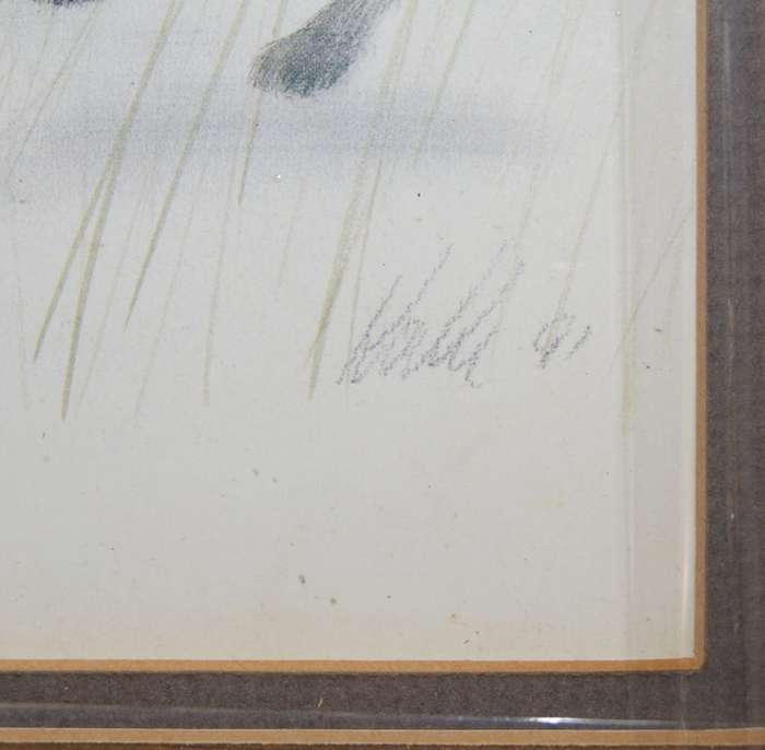 `Babies of the Bush` by Kalle Reimer 1936 - 2000 `Hyena` in Stunning NEW Frame Print