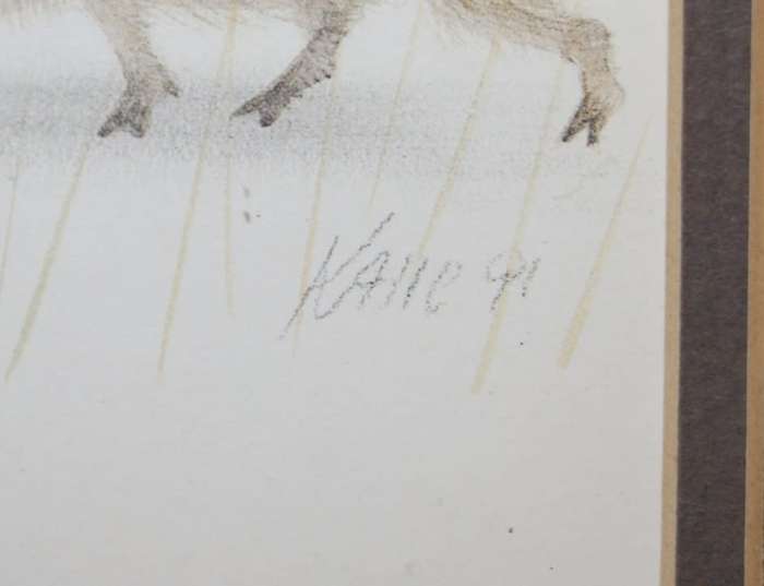 `Babies of the Bush` by Kalle Reimer 1936 - 2000 `Warthog` in Stunning NEW Frame Print