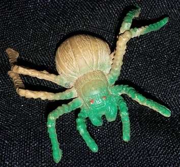 Small Spider