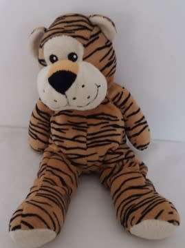 Plush Teddy