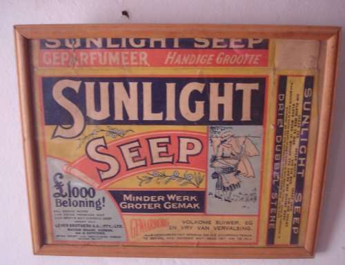 sUNLIGHT SEEP