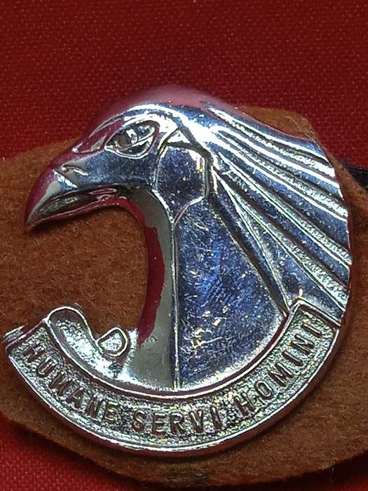 S.A.D.F PERSONNEL SERVICE CAP BADGE SCREW LUGS