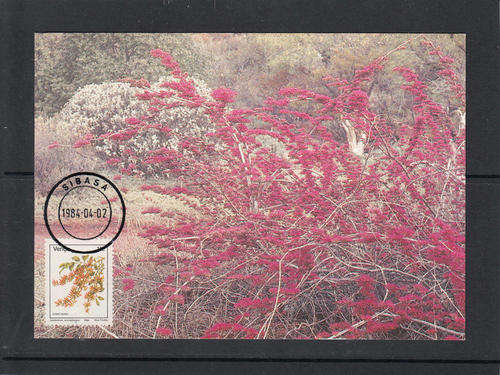 VENDA SACC 91 - POSTCARD FOR 14c ADDITIONAL VALUE DEFINITIVE ISSUE. CANCELLED IN SIBASA 2.4.1984