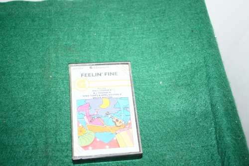 Fellin" Fine Cassette