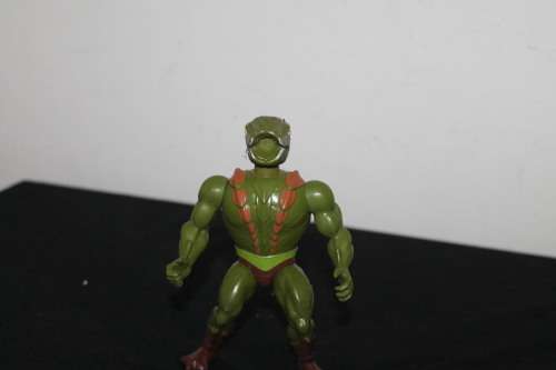MOTU Action Figure