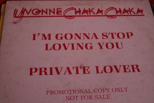 Yvonne Chaka Chaka Promotional Copy