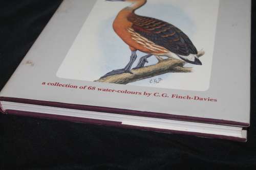 Gamebirds & Waterfowl of Southern Africa C G Finch-Davies