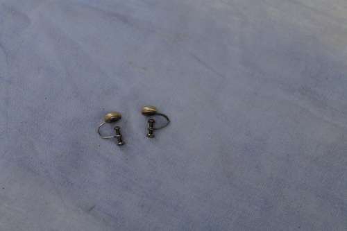 Vintage Screw on Earrings