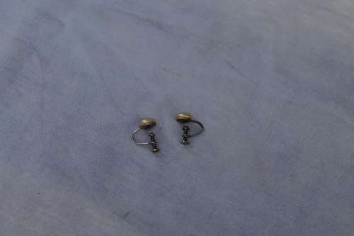 Vintage Screw on Earrings