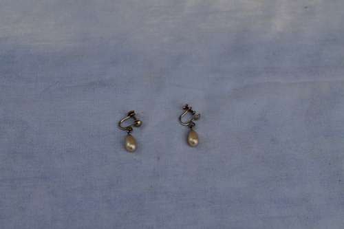 Vintage Screw on earrings