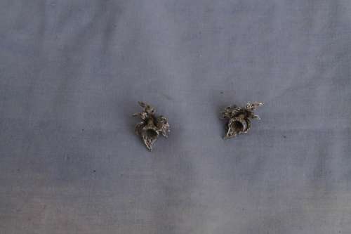 Vintage Clip on Earings