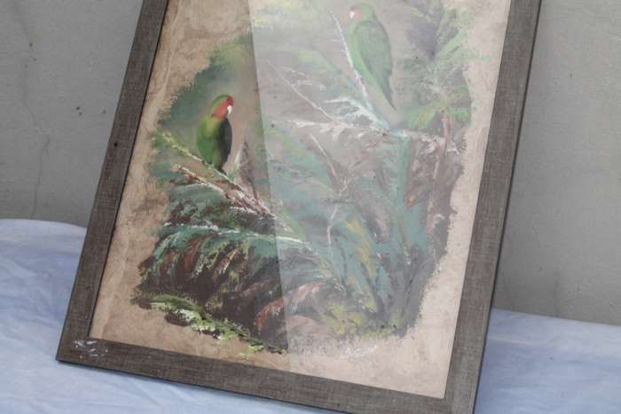 Framed Watercolor Birds,