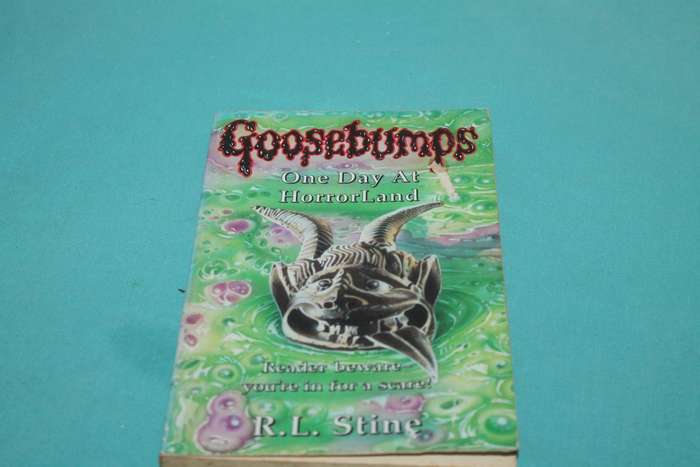 Goosebumps R L Stine One Day at Horrorland