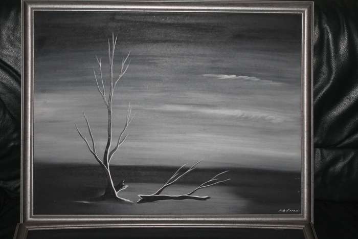 2 Black and White Framed Pictures