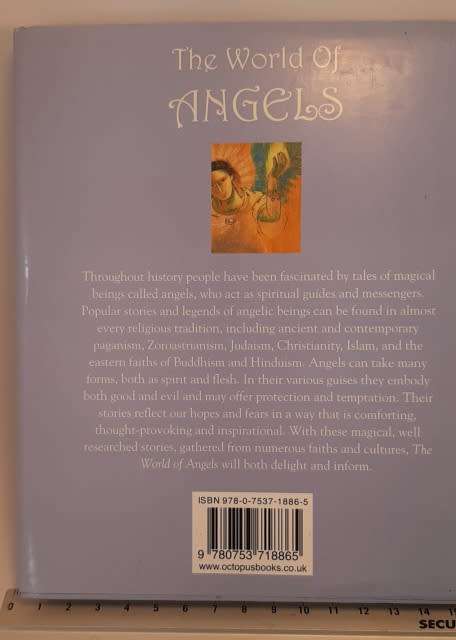 Book The world of Angles By Gossamer Penwyche 127 Pages