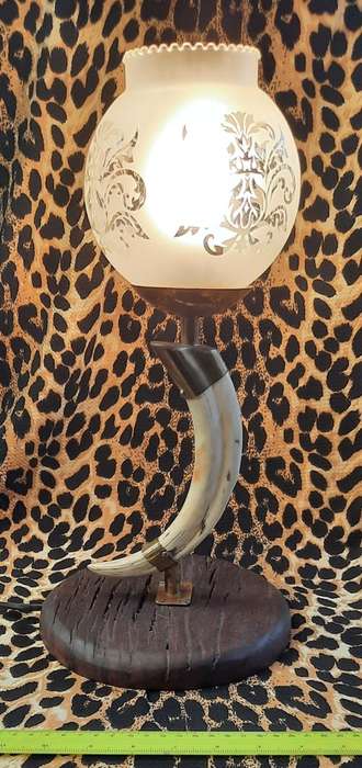 Glass shade  Warthog Tusk table Lamp with Wooden Stand
