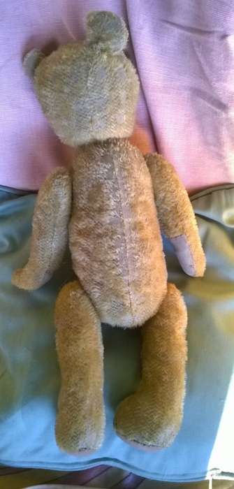 TEDDY BEAR