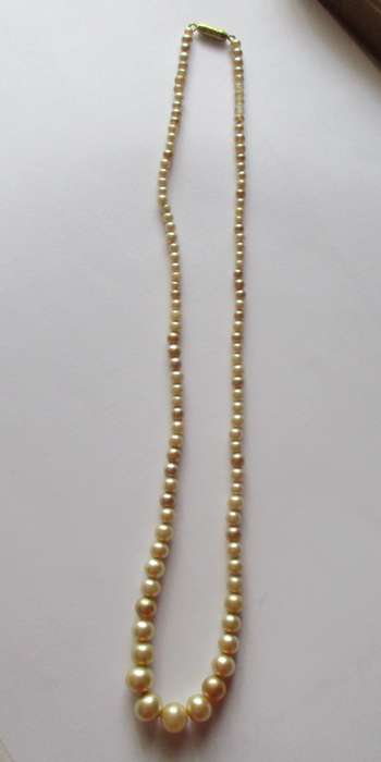 Faux Pearl Necklace