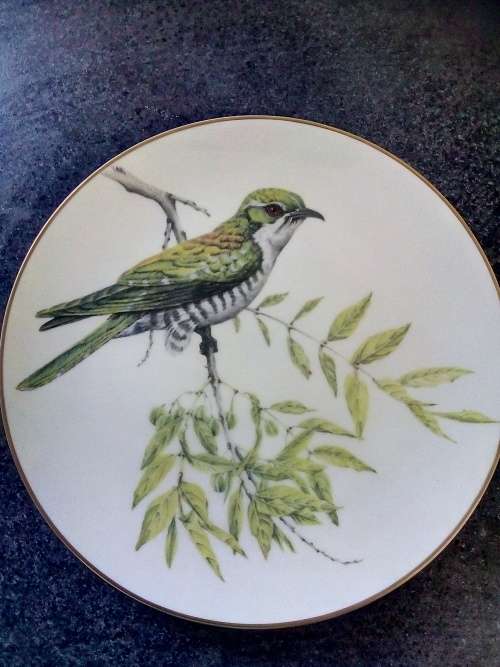 In Excellent Condition Jill Adams(1983) Complete set "Best Loved Birds Of Southern Africa"