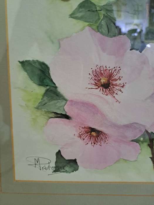 Beautiful Watercolour Painting (frame 68x50cm) M Pretorius