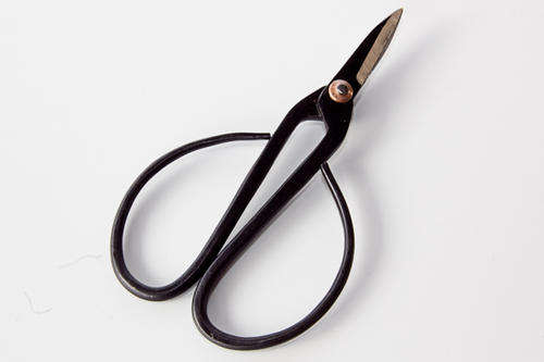 bonsai scissors