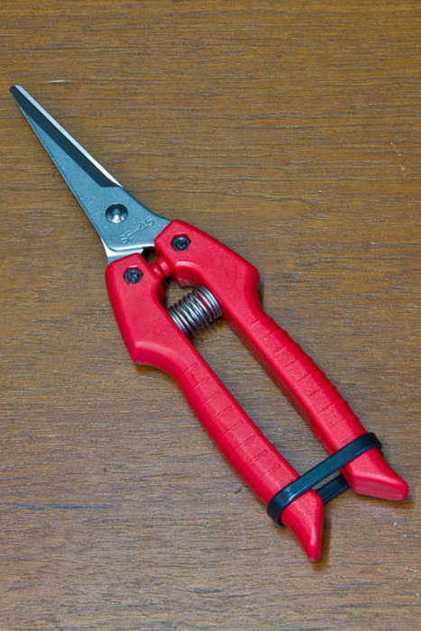 Imported Japanese Bonsai Pruner, 183mm, Stainless Steel blade