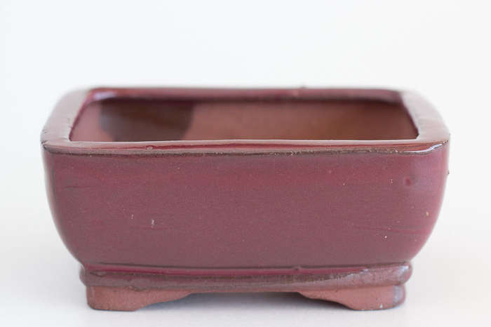 Extra Height Glazed Bonsai Container, 12 x 9 x 5cm