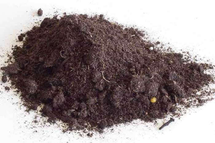 peat bonsai mix