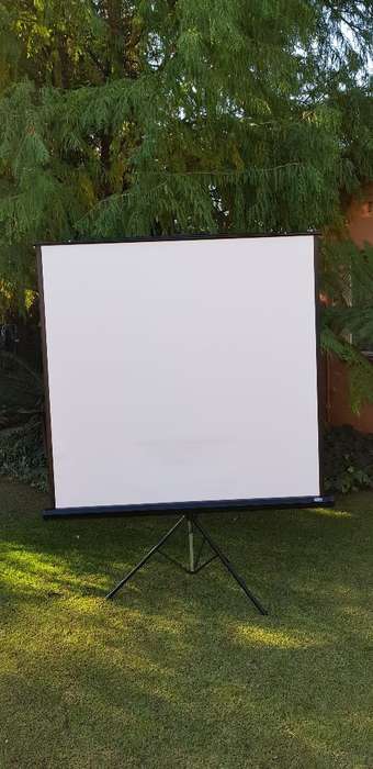 Large Adjustable Projector Screen 160 X 166