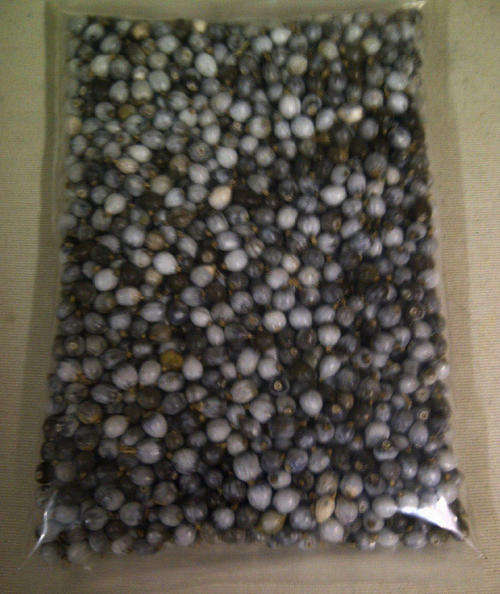 Zulu Teething Beads